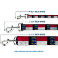 Load image into Gallery viewer, Dog Leash - North Carolina Flag Distressed/Black