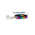 Load image into Gallery viewer, Dog Leash - Rainbow Ombre