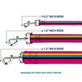 Load image into Gallery viewer, Dog Leash - Racing Stripes Pink/Yellow/Blue/Black
