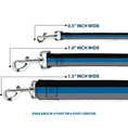 Load image into Gallery viewer, Dog Leash - Stripes Black/Turquoise/Gray