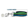 Load image into Gallery viewer, Dog Leash - Scribble Stripes Blue/Green/White