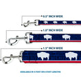 Load image into Gallery viewer, Dog Leash - Wyoming Flags/WYOMING Typography