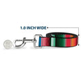 Load image into Gallery viewer, Dog Leash - Zarape5 Vertical Multi Color Stripe