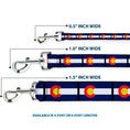 Load image into Gallery viewer, Dog Leash - Colorado Flags