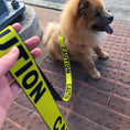 Load image into Gallery viewer, Dog Leash - CAUTION Yellow/Black