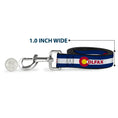 Load image into Gallery viewer, Dog Leash - Colfax Colorado Flag