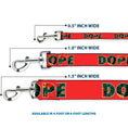 Load image into Gallery viewer, Buckle-Down Dog Leash - DOPE Red/Black/Tropical Flowers