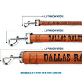 Load image into Gallery viewer, Dog Leash - Dallas-Raleigh-Tennessee-Austin-Boston Stripes Browns/Black