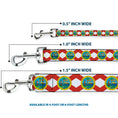 Load image into Gallery viewer, Dog Leash - Florida Flag Continuous