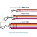 Load image into Gallery viewer, Dog Leash - Flag Lesbian Five Stripe Oranges/White/Pinks