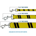 Load image into Gallery viewer, Dog Leash - Hash Mark Stripe Double Gold/Black