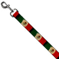 Load image into Gallery viewer, Dog Leash - Mexico Flag Distressed Painting