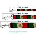 Load image into Gallery viewer, Dog Leash - Mexico Flag Distressed Painting
