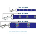 Load image into Gallery viewer, Dog Leash - Michigan Flag Continuous
