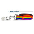 Load image into Gallery viewer, Dog Leash - Colorado Flags2 Pride