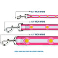 Load image into Gallery viewer, Dog Leash - Colorado Flags7 Repeat Pinks/White/Light Pink/Yellow