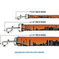 Load image into Gallery viewer, Dog Leash - San Francisco Vivid Skyline Orange Fade/Black