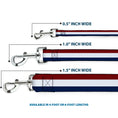 Load image into Gallery viewer, Dog Leash - Stripes Red/White/Blue
