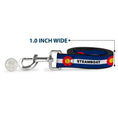 Load image into Gallery viewer, Dog Leash - Colorado STEAMBOAT Flag Blue/White/Red/Yellow