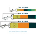 Load image into Gallery viewer, Dog Leash - Summer Essentials Color Block 1