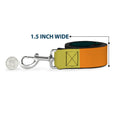 Load image into Gallery viewer, Dog Leash - Summer Essentials Color Block 1