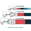 Load image into Gallery viewer, Dog Leash - Summer Essentials Color Block 4