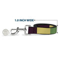 Load image into Gallery viewer, Dog Leash - Summer Essentials Color Block 5