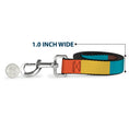 Load image into Gallery viewer, Dog Leash - Summer Essentials Color Block 9