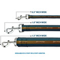 Load image into Gallery viewer, Dog Leash - AQUAMAN Scales Stripe Blues/Golds