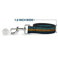 Load image into Gallery viewer, Dog Leash - AQUAMAN Scales Stripe Blues/Golds