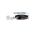 Load image into Gallery viewer, Dog Leash - Big Bang Theory Chibi Characters Black