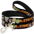 Load image into Gallery viewer, Dog Leash - DR. STONE Title Logo and Character Group Black