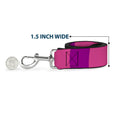 Load image into Gallery viewer, Dog Leash - Anna & Elsa Poses/Castle & Mountains Blues