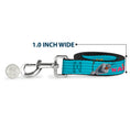 Load image into Gallery viewer, Dog Leash - Olaf Pose I LOVE WARM HUGS Stripe Blues