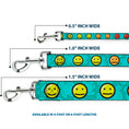 Load image into Gallery viewer, Dog Leash - Baymax/Mood Expressions/Baymax Scattered Turquoise