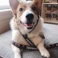 Load image into Gallery viewer, Dog Leash - Dug 3-Poses/SQUIRREL! Brown/Yellow/White