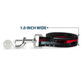Load image into Gallery viewer, Dog Leash - Cars 3 Cars Stripes/Stars Grays/Blues/Reds