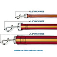 Load image into Gallery viewer, Dog Leash - The Flash Stripe Burgundy/Gold