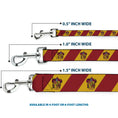 Load image into Gallery viewer, Dog Leash - GRYFFINDOR Crest Diagonal Stripe Gold/Red