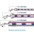 Load image into Gallery viewer, Dog Leash - Space Jam TUNE SQUAD Logo Stripe White/Red/Blue