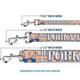 Load image into Gallery viewer, Dog Leash - PORKY PIG w/Poses Pink