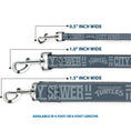 Load image into Gallery viewer, Dog Leash - TEENAGE MUTANT NINJA TURTLES CITY SEWER Title Logo Grays
