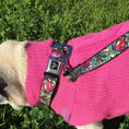 Load image into Gallery viewer, Dog Leash - Supergirl Tattoo Scene