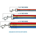 Load image into Gallery viewer, Dog Leash - Wonder Woman Stripe/Stars Red/Gold/Blue/White