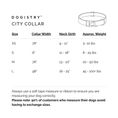 Load image into Gallery viewer, DOGISTRY City Collar - Rockstar