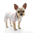 Load image into Gallery viewer, Dogo PJ Piggy