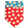 Load image into Gallery viewer, DOT Tan/Red/Turquoise