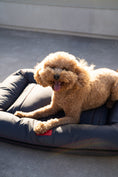Load image into Gallery viewer, Chester & Lee | Waterproof Lounger Dog Bed Gray