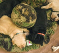 Load image into Gallery viewer, HuggleCause™, Warrior Canine Connection, Camouflage HuggleFleece® Plush Ball Dog Toy - image 2