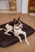 Load image into Gallery viewer, Chester & Lee | Waterproof Lounger Dog Bed Brown